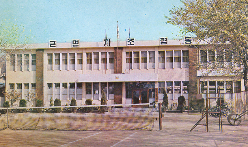 1977, 대학전경